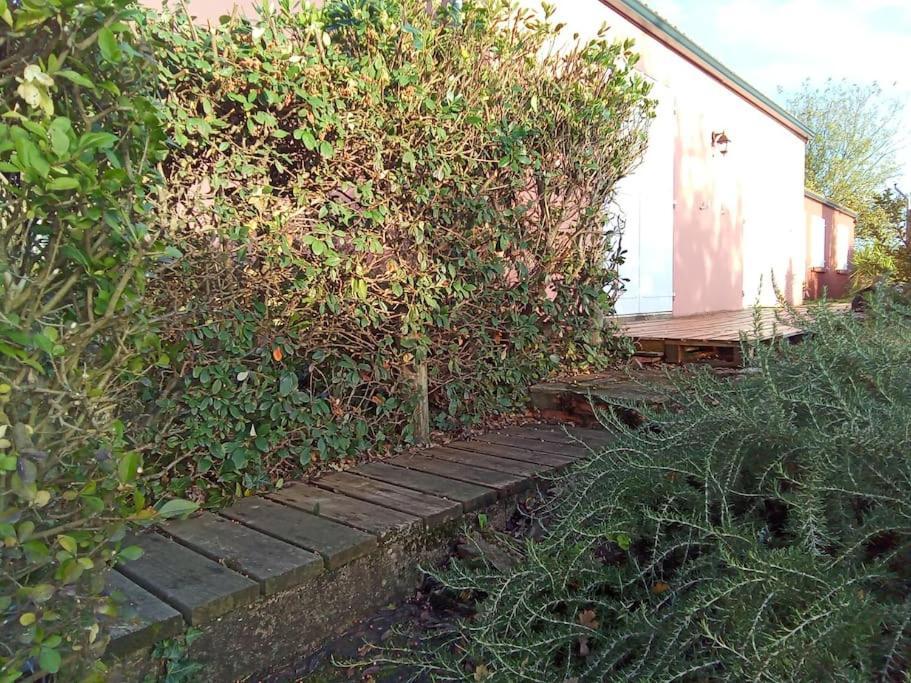 Maison 2 Pieces, 4 Personnes Holiday home Le Loroux-Bottereau
